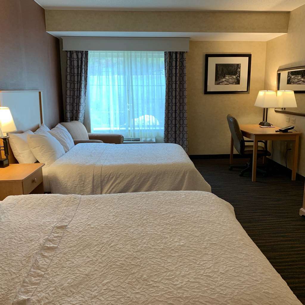 Hampton Inn & Suites Steamboat Springs Rum bild